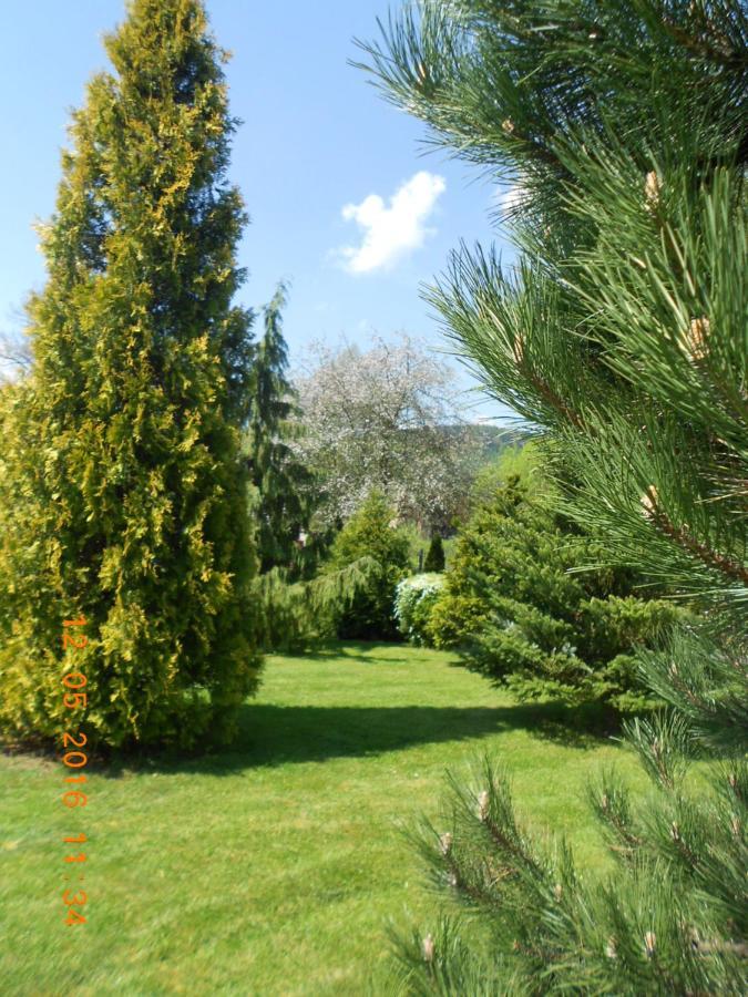 Agroturystyka Zielony Ogrod Scinawka Srednia エクステリア 写真